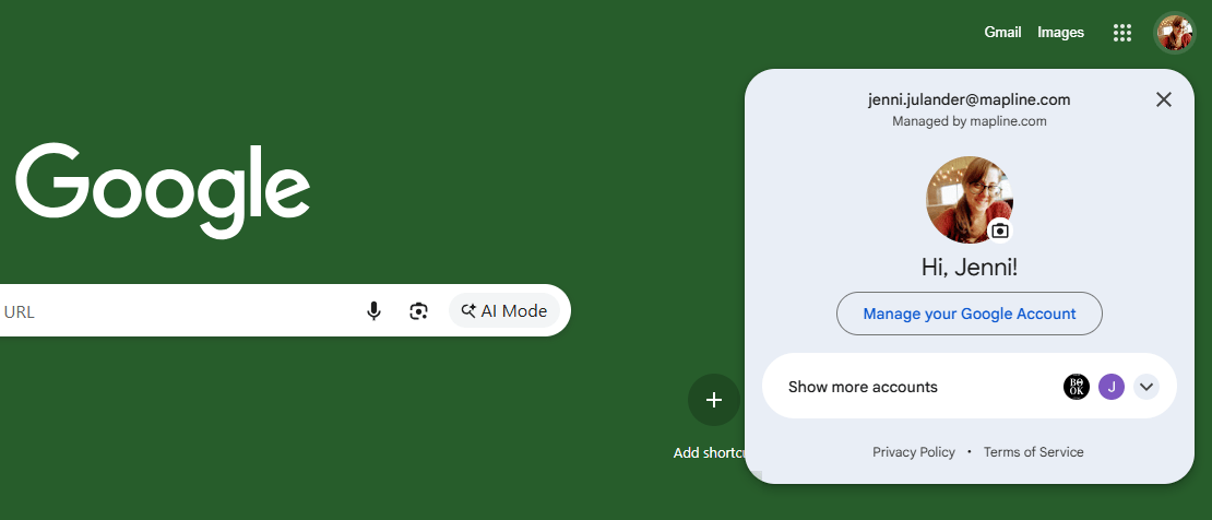 Log into Google Calendar account