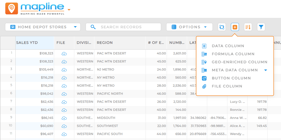 Types of data columns in Mapline